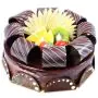  rich chocolate fruit cake 