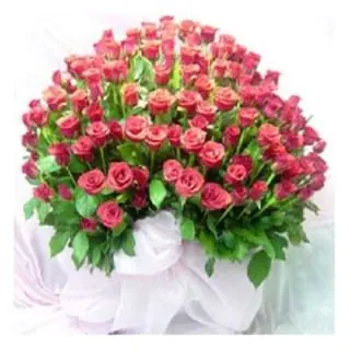 100 pink roses in Basket