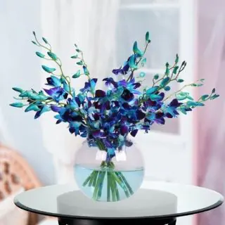 10 blue orchids arranged in glass bowl 