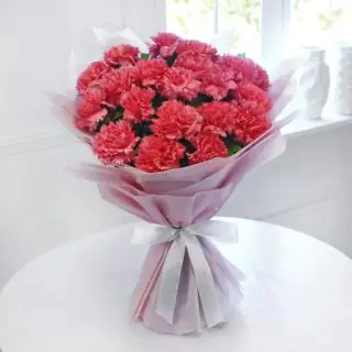 Bunch of 12 orange carnations