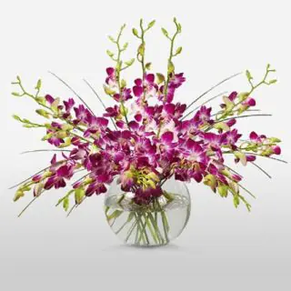 12 purple orchids arranged in vase 