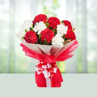 Bunch of 20 red carnations