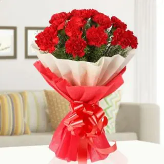 Bunch of 12 red carnations