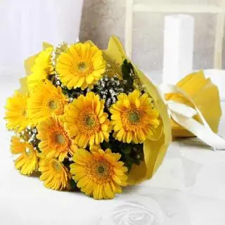 Bunch of 12 yellow gerberas