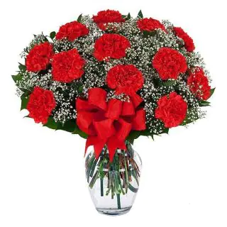 15 red carnations arranged in glass vase with gypsophila fillers 