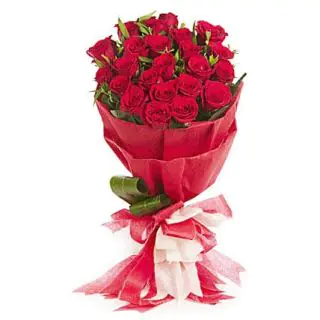 20 Red Roses With special packing