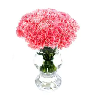 20 pink carnations arranged in glass vase 