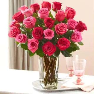 20 red and pink roses arranged in glass vase 