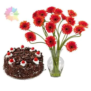 20 red gerberas arranged in glass vase with 1 pound black forest cake 
