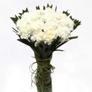 20 white carnations bunch