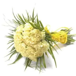 20 yellow carnations bunch