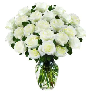 25 white roses arranged in glass vase 