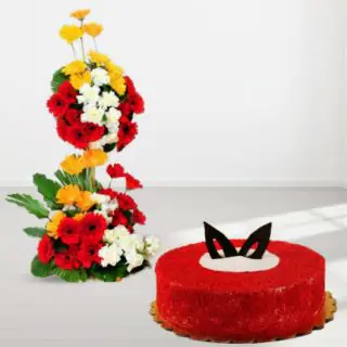 2 feet height arrangement of 50 gerberas with red velvet cake 