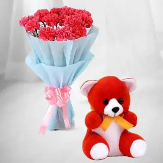 10 pink carnations bouquet with 6 inch height teddy bear 