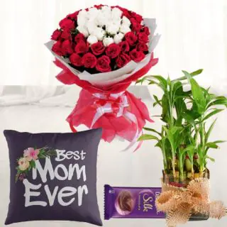 Bunch of 30 red and white roses, photo cushion, with 2 layer lucky bamboo plant with dairy milk silk chocolate 