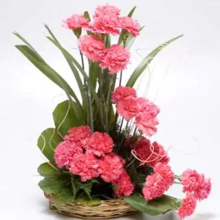 Basket arrangement of 40 pink carnations  
