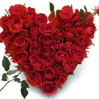 50 red rose heart shape arrangement