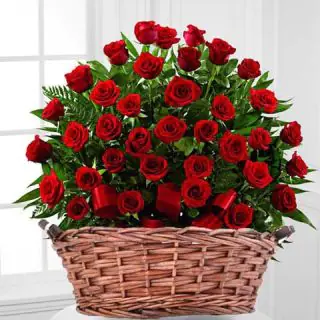 50 red roses basket arrangement 