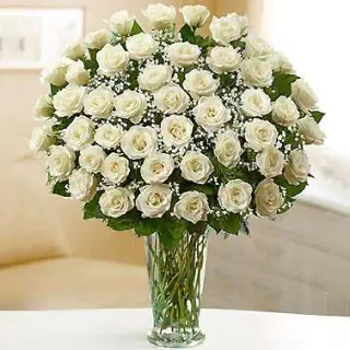 50 white roses arranged in glass vase 