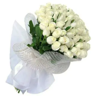 50 white roses bouquet  
