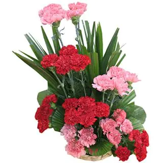 20 Red carnations with Jute packing and dry sticks