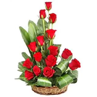 Arrangement of 20 Red roses