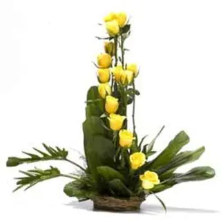 Arrangement of 12 yellow roses