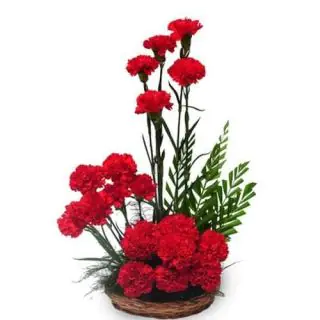 arrangement of 20 red carnations