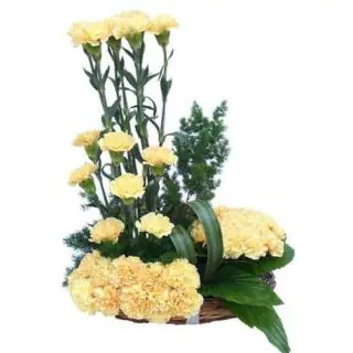 Arrangement of 20 yellow carnations