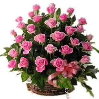 arrangement of 25 pink roses