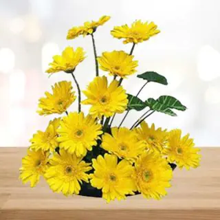 Basket arrangement of 20 yellow gerberas