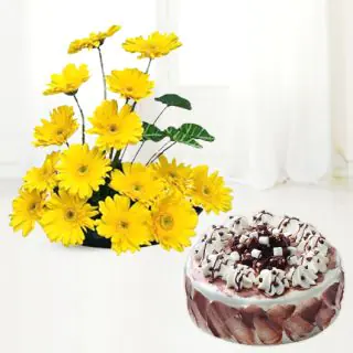 Basket arrangement of 20 yellow gerberas with choco chips cake 