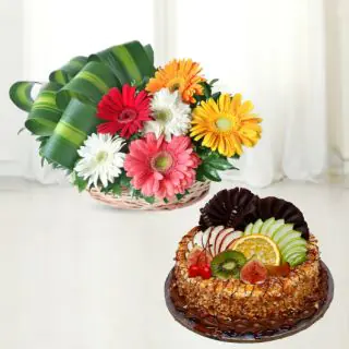 Basket arrangement of 6 colourful gerberas with premium butterscotch fruit cake 