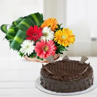 Basket arrangement of 6 gerberas in mix colour with  chocolate cake 