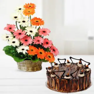Basket arrangement of mix colour gerbers with irish chocolate cake 