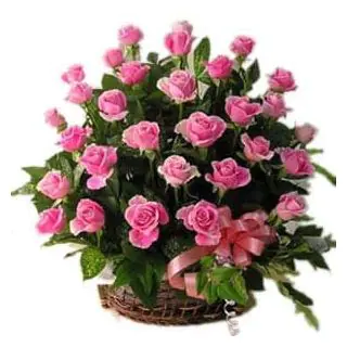 Basket of 25 pink roses 