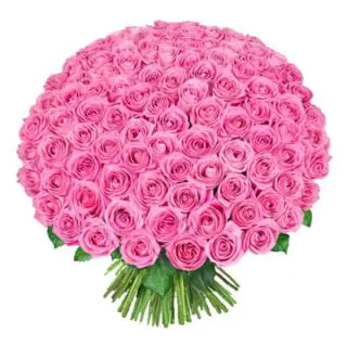 Beautiful bouquet of 100 pink roses 