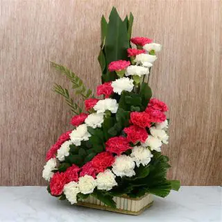 Beautiful Step arrangement of 35 pink and white carnations 