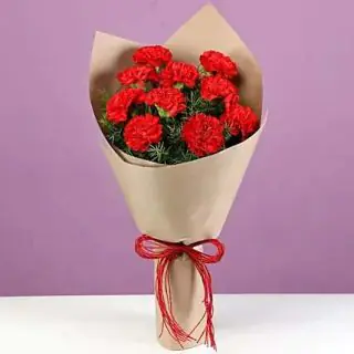 Bouquet of 10 red carnations 