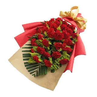 Bouuqet of 25 red carnations 