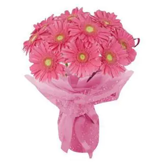 Bunch of 10 pink gerberas 