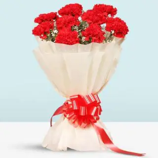 Bunch of 10 red carnations 