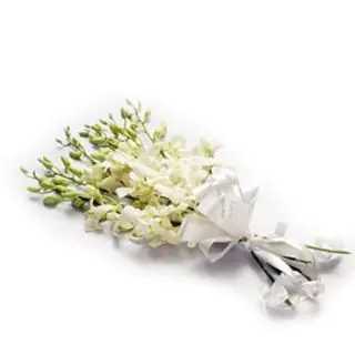 Bunch of 10 white orchids