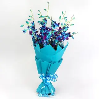 Bunch of 8 blue orchids 