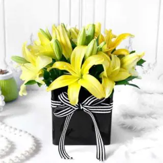 Classic looking Box Arrangement of 6 yellow Asiatic lilies 