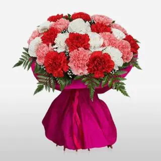 bunch of 12 mix carnation