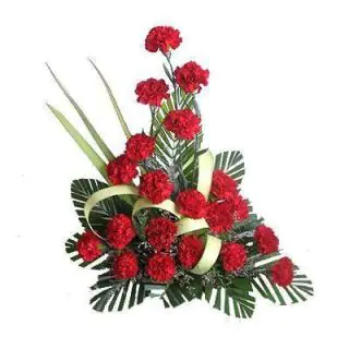 Beautiful Arrangement of 20 Red Carnations