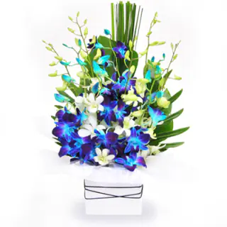 Celebrity..A Beautiful mixture of lavender and blue orchids arranged in a glass vaselooking rich and beautiful