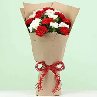 lovely red and white carnations bouquet
