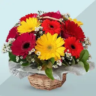 basket mix gerberas